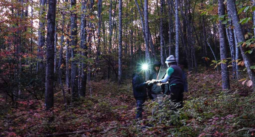 students wearing headlamps look at a map on a backpacking trip in north carolina